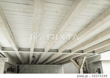 サマーバケーション サマーバケーション 50374299