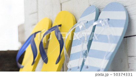 サマーバケーション サマーバケーション 50374331