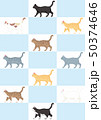 横向き猫色々 50374646