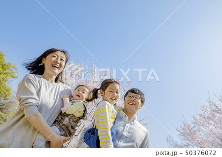 桜の咲く公園で遊ぶ4人家族 桜の咲く公園で遊ぶ4人家族 50376072