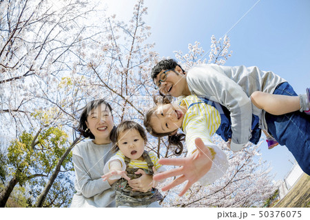 桜の咲く公園で遊ぶ４人家族 50376075