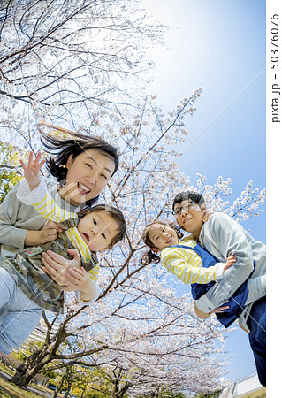 桜の咲く公園で遊ぶ4人家族 桜の咲く公園で遊ぶ4人家族 50376076