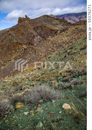View of the landscape in Teide National Park View of the landscape in Teide National Park 50376271