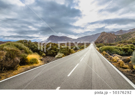 View of the landscape in Teide National Park View of the landscape in Teide National Park 50376292