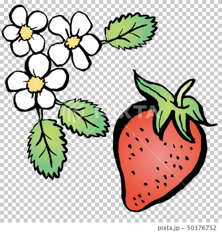 草莓 草莓 50376752