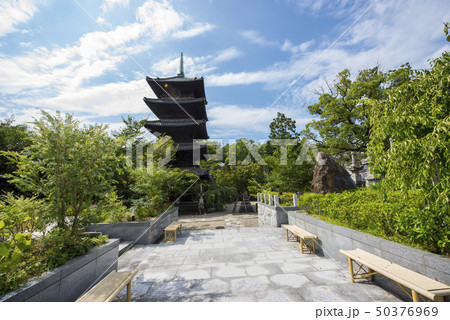 名古屋都市風景・夏の八事興正寺 50376969