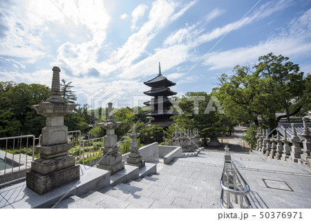 名古屋都市風景・夏の八事興正寺 50376971