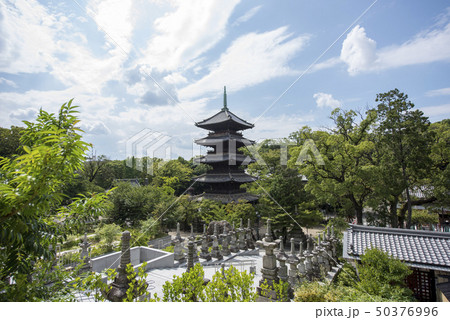 夏の八事興正寺 50376996