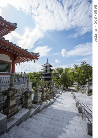 夏の八事興正寺 夏の八事興正寺 50376998