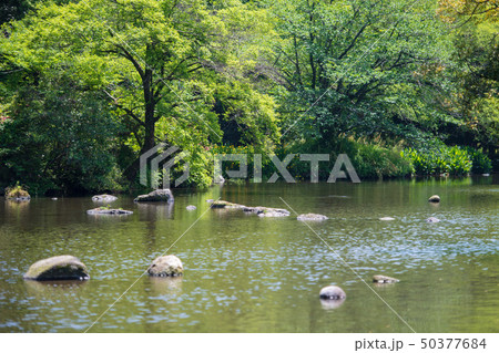 新緑 新緑 50377684