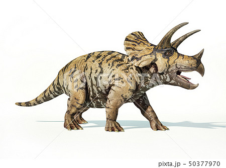 Triceratops 3d Rendering On White Backgroundのイラスト素材