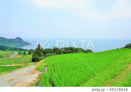 田園風景 50378038