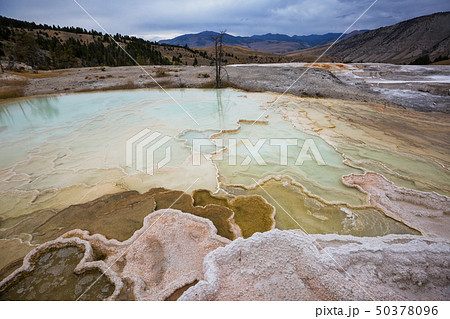 Mammoth Hot Spring 50378096
