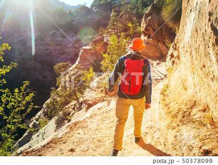 Hike in Zion Hike in Zion 50378099