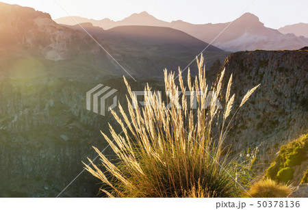 Chile landscape 50378136