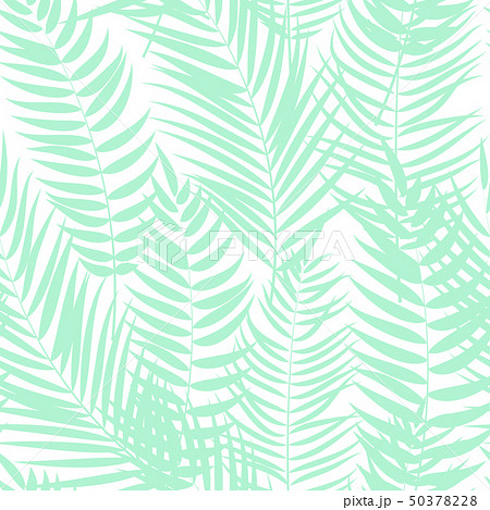 Beautifil Palm Tree Leaf  Silhouette Seamless 50378228