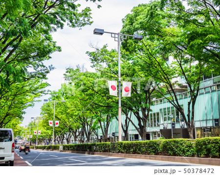東京　表参道 50378472