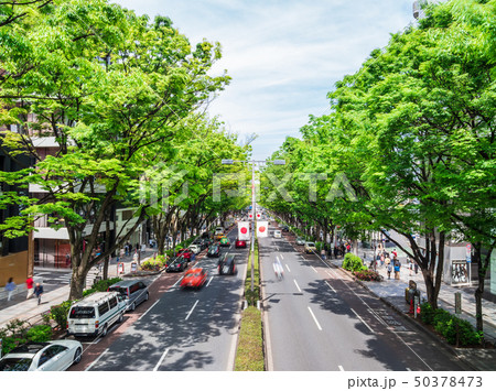 東京　表参道 50378473