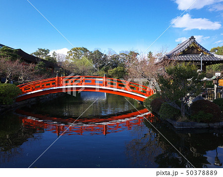 神泉苑の法成橋 50378889