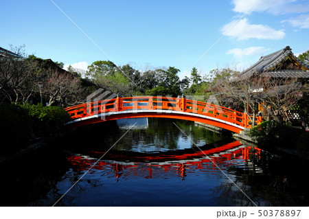 神泉苑の法成橋 50378897