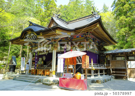 宝登山神社社殿左 50378997