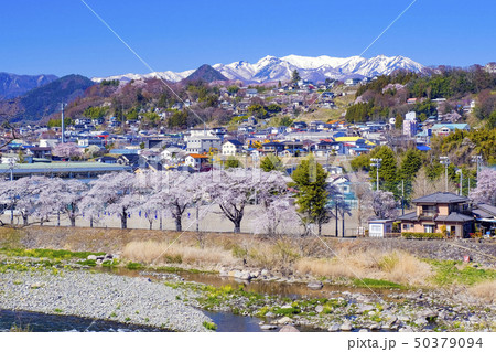 春の利根川河岸段丘の街 50379094