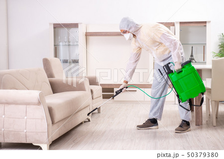 Pest control contractor working in the flat  Pest control contractor working in the flat  50379380