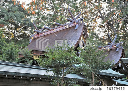 紀州 伊太祁曽神社 本殿 紀州 伊太祁曽神社 本殿 50379456