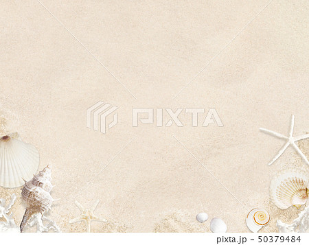 背景 海 夏 ビーチ 貝殻 砂のイラスト素材