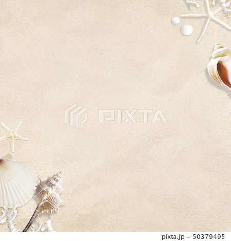 背景 海 夏 ビーチ 貝殻 砂のイラスト素材
