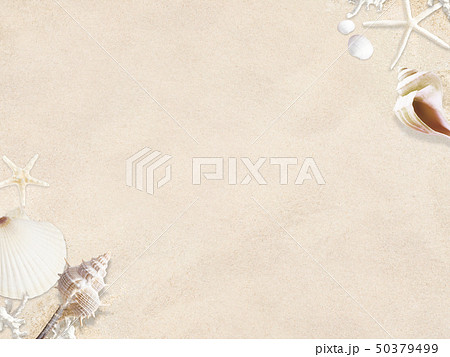 背景 海 夏 ビーチ 貝殻 砂のイラスト素材