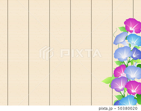 簾 50380020