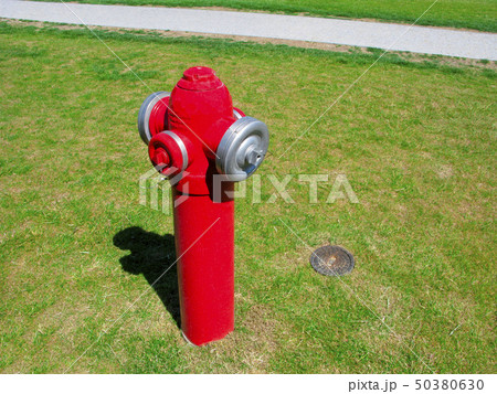 Fire hydrant on the lawn 50380630