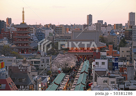 日本の東京都市景観  満開の桜と浅草寺 50381286