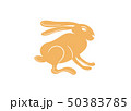 Heraldic Rabbit or Hare isolated. Gold Hare or rabbit silhouette vector icon. 50383785