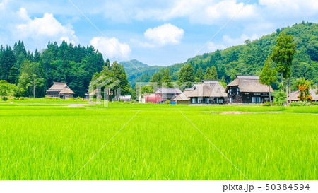 夏の農村風景 (荻ノ島環状集落) 夏の農村風景 (荻ノ島環状集落) 50384594