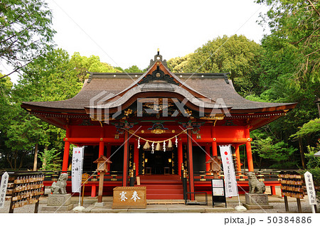 愛知県 岡崎市 六所神社 愛知県 岡崎市 六所神社 50384886