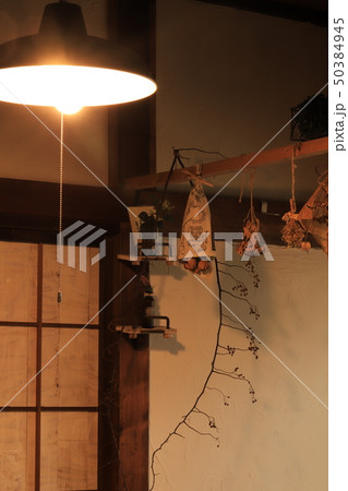 ドライフラワー 50384945