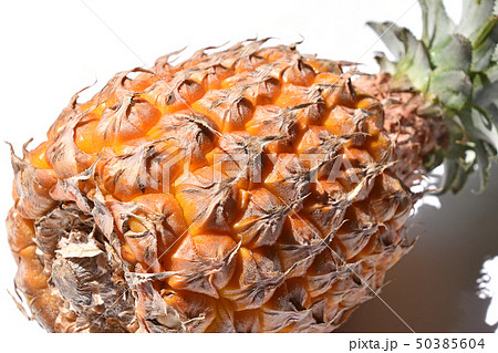 スナックパイン スナックパイン 50385604