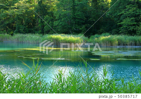福島　 裏磐梯　 五色沼 　るり沼 50385717