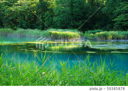 福島　 裏磐梯　 五色沼 　るり沼 50385878