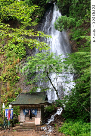 山形 鶴岡 出羽三山 羽黒山 秡川神社 山形 鶴岡 出羽三山 羽黒山 秡川神社 50386203