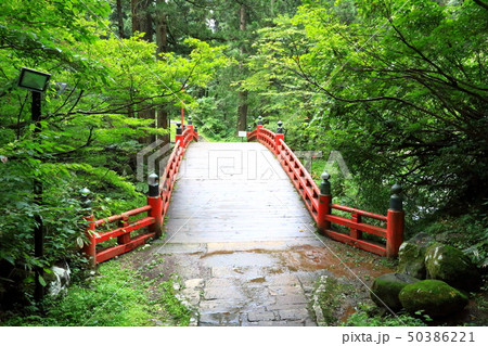 山形　鶴岡　出羽三山　羽黒山　秡川 50386221