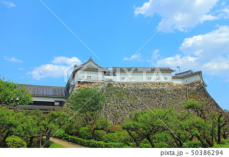 【高知県】　高知城 50386294