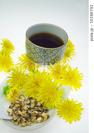 タンポポ茶と根 タンポポ茶と根 50386792