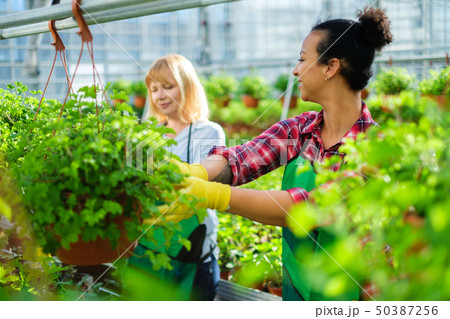 Two women working in a botanical garden 50387256