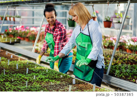 Two women working in a botanical garden Two women working in a botanical garden 50387365