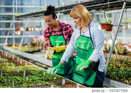 Two women working in a botanical garden 50387366