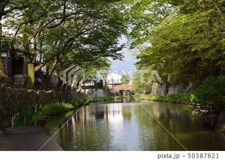 八幡堀　水郷　（滋賀県近江八幡市宮内町　八幡伝統的建造物群保存地区） 50387621