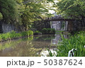 八幡堀　水郷　（滋賀県近江八幡市宮内町　八幡伝統的建造物群保存地区） 50387624